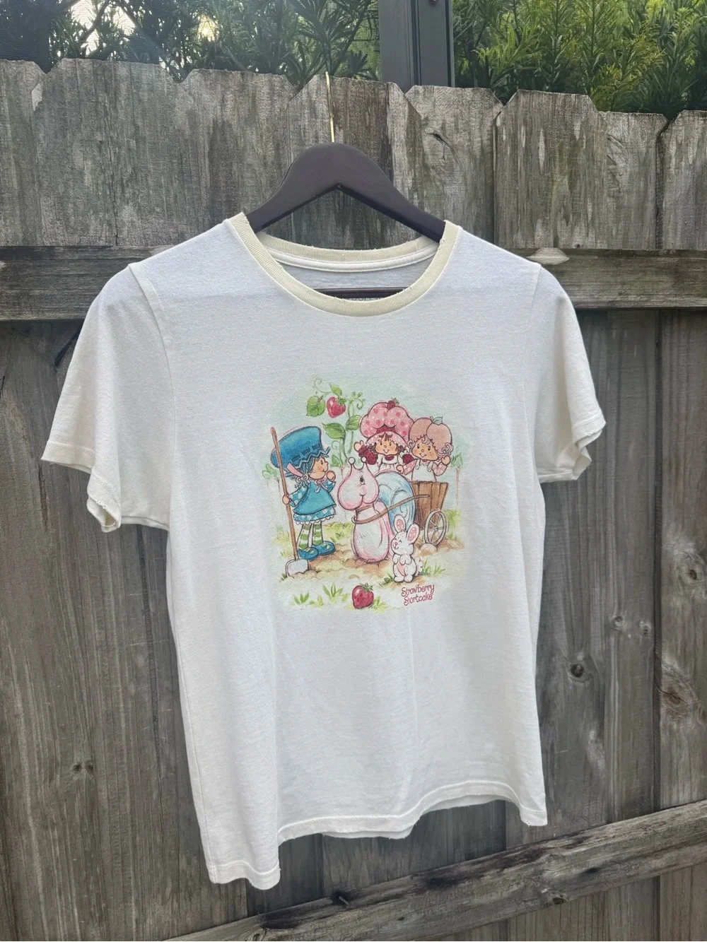 Strawberry Shortcake Recycled Distressed Baby Tee